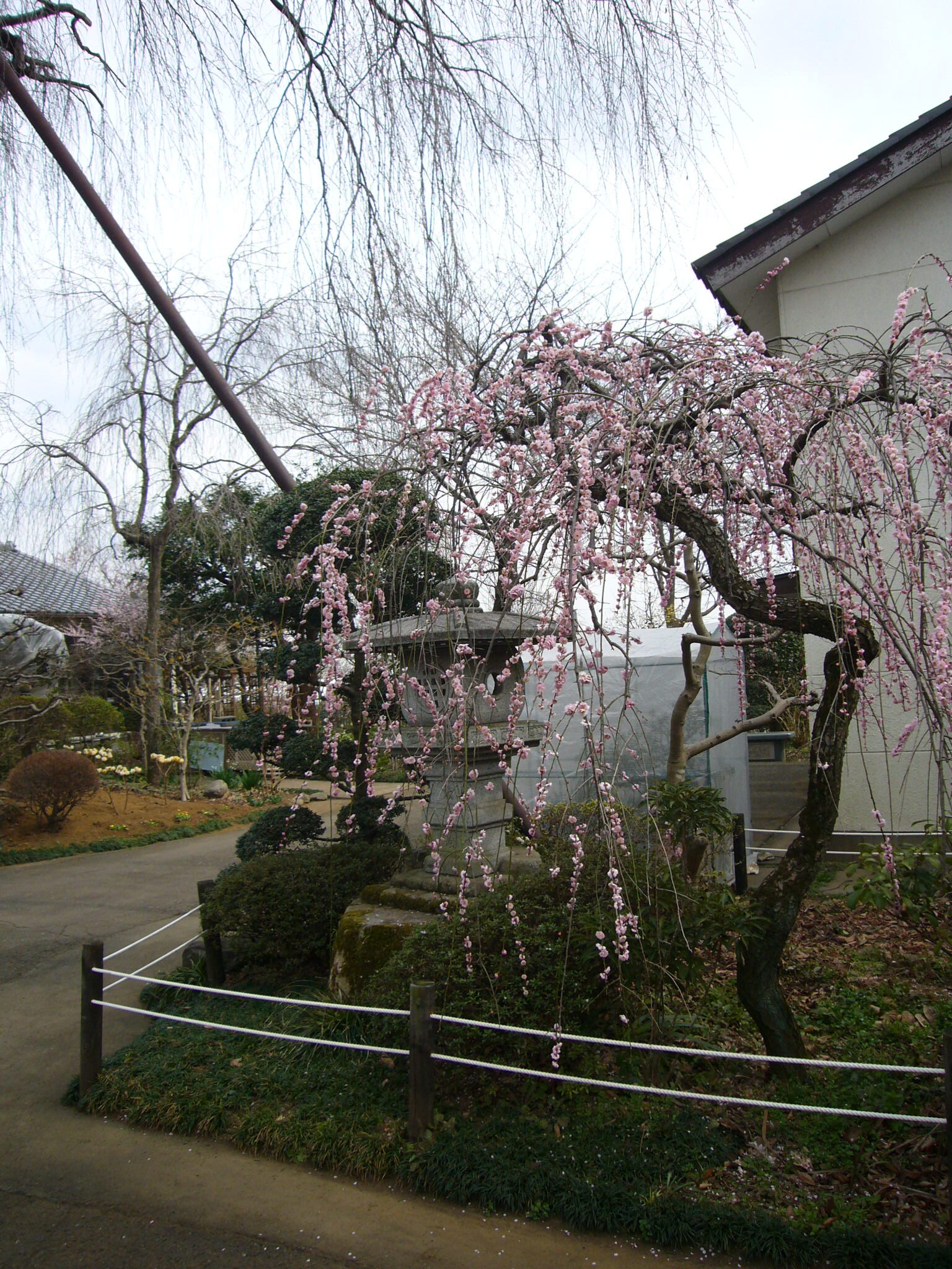 金仙寺風景