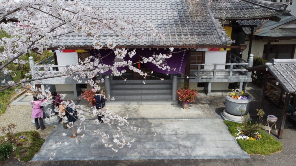 金仙寺風景