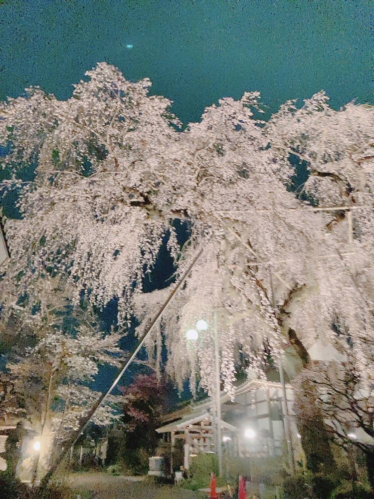 金仙寺風景
