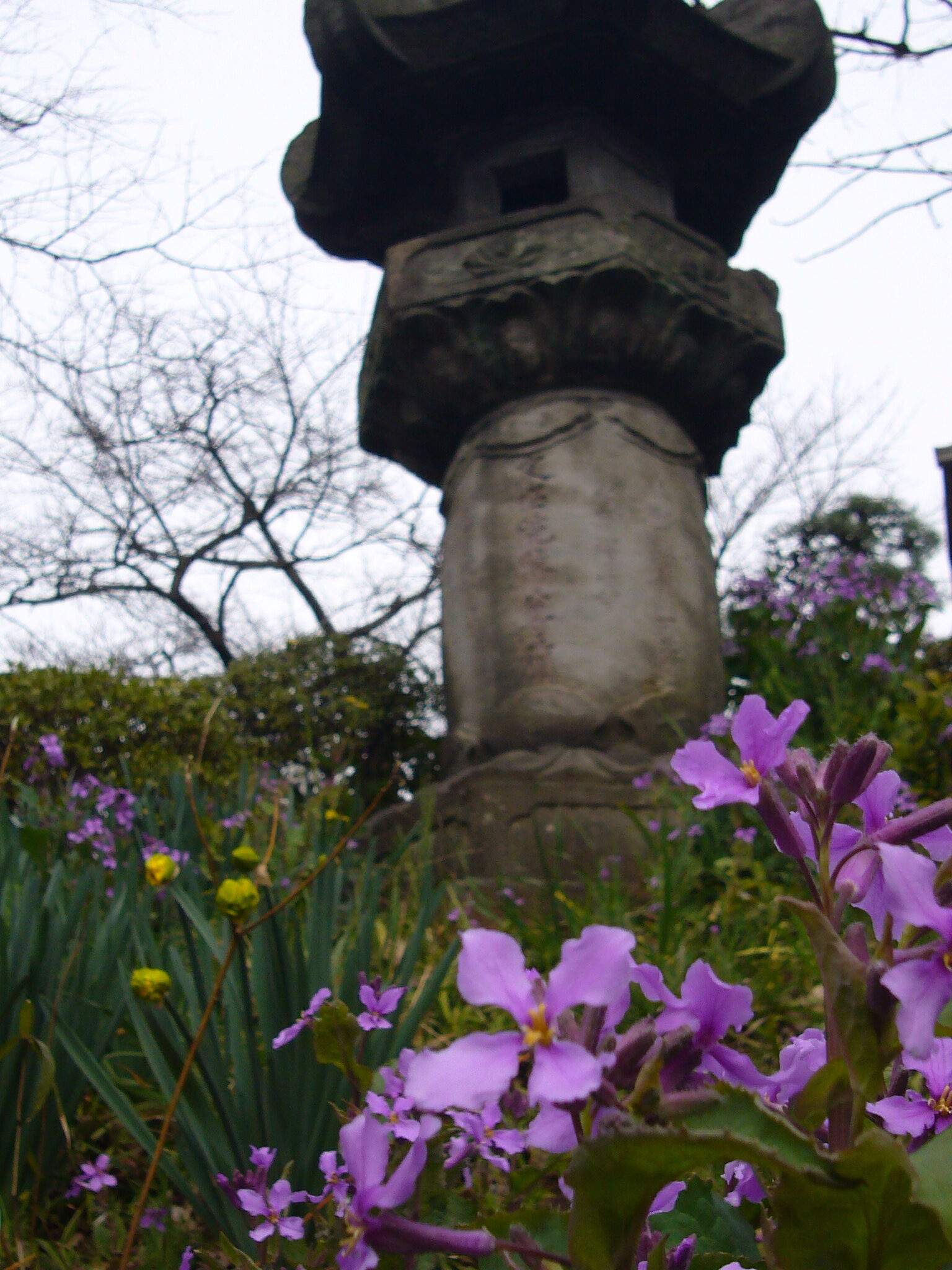 金仙寺風景