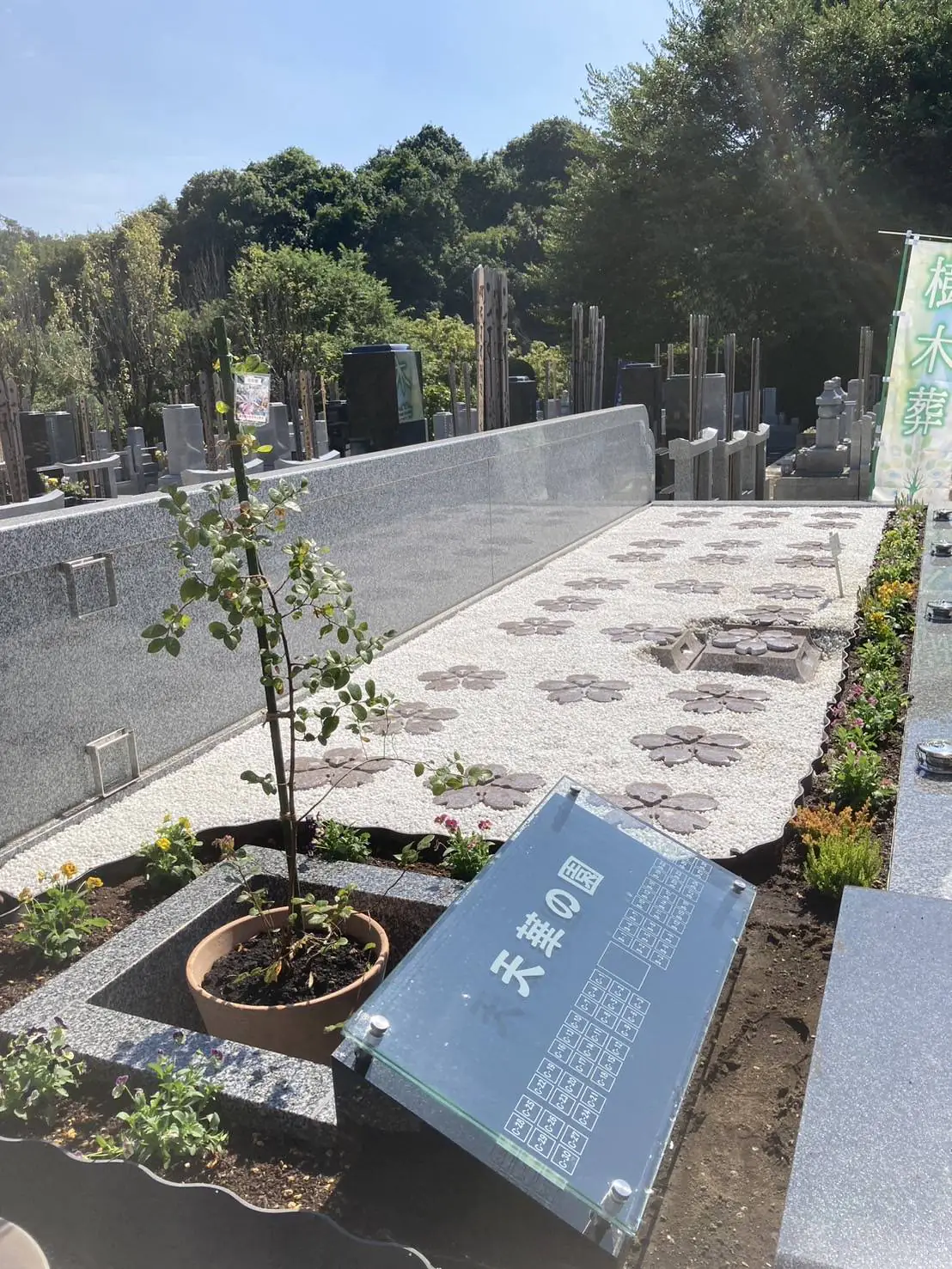 金仙寺風景