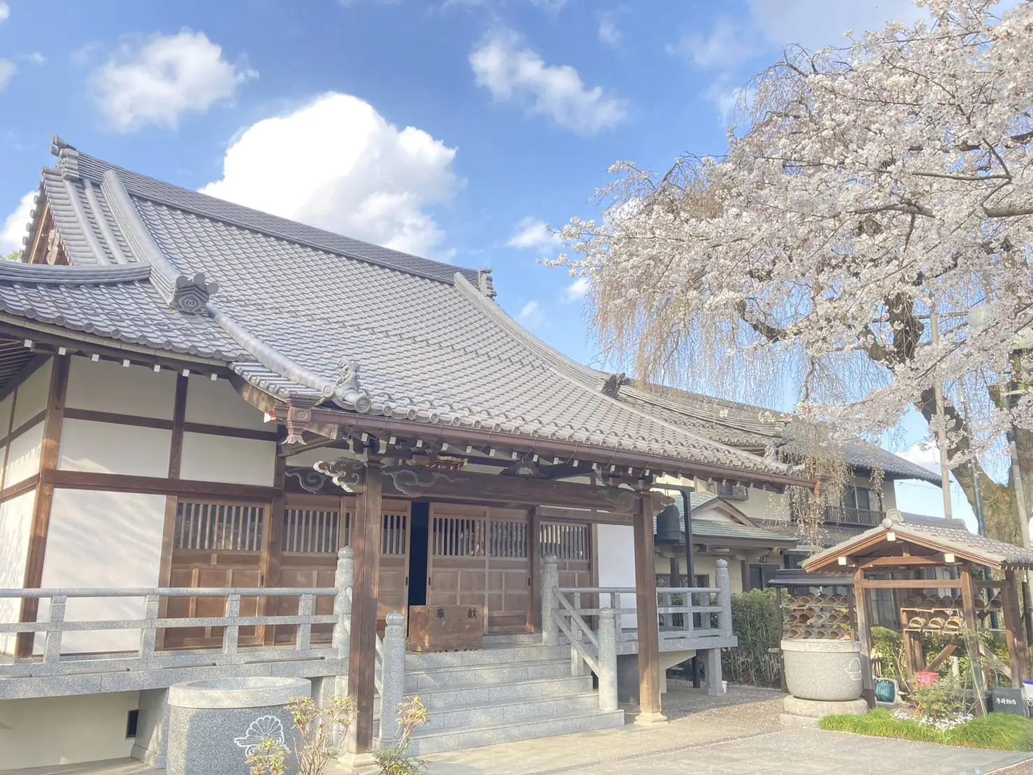 枝垂れ桜が見守る墓苑